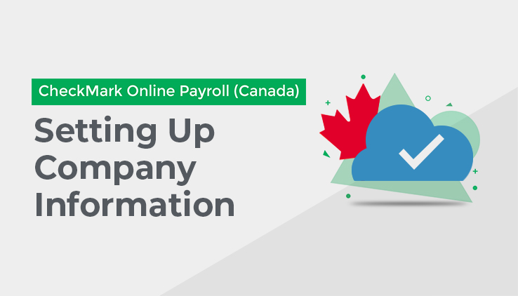 Setting up company information