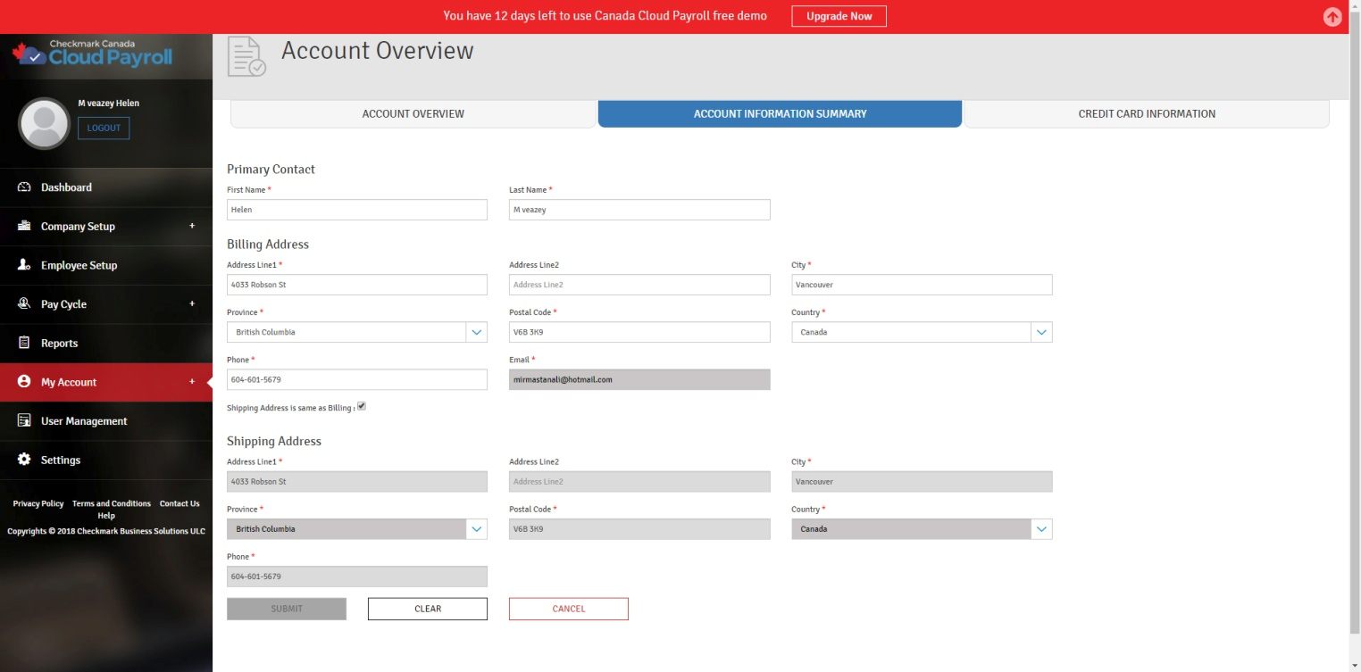 account information summary