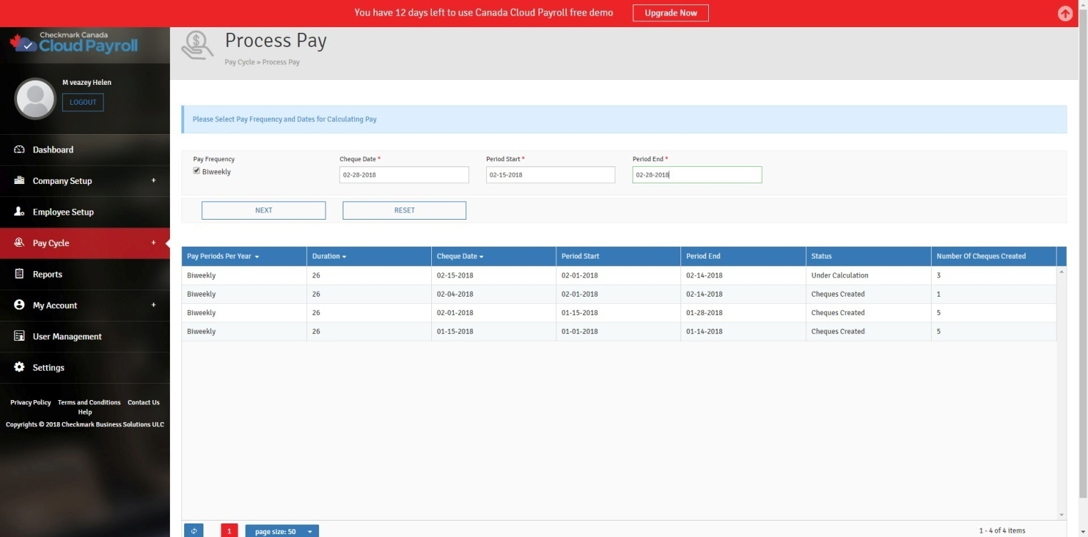 process pay field description