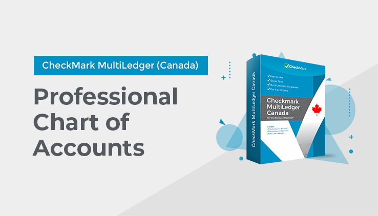 Professional Chart of Accounts