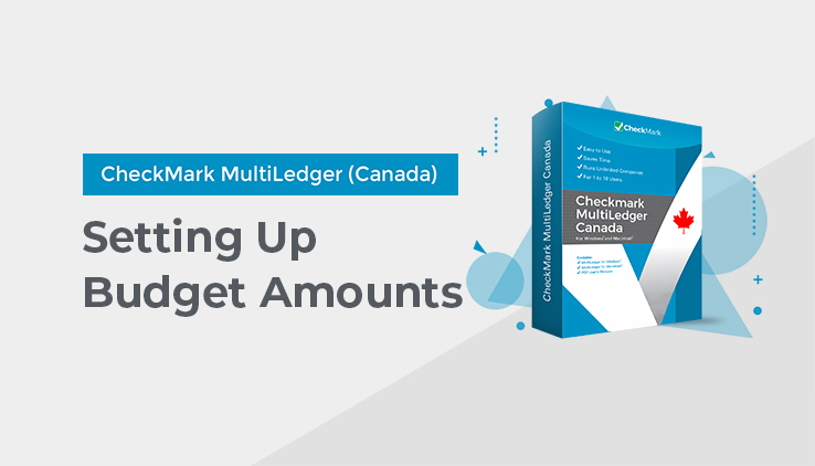 Set Up Budget Amounts in CheckMark MultiLedger