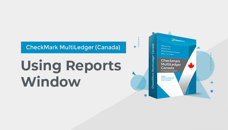 Using the Report Windows