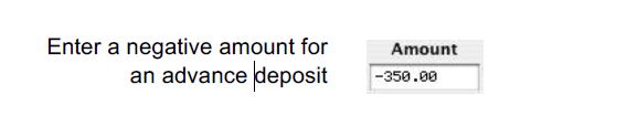 enter a negative amount