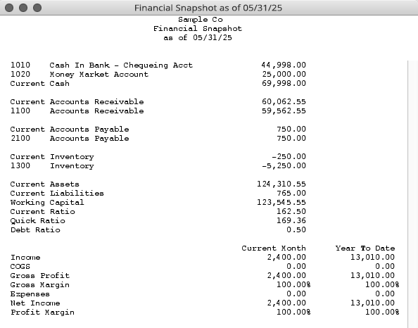 financial snapshot report