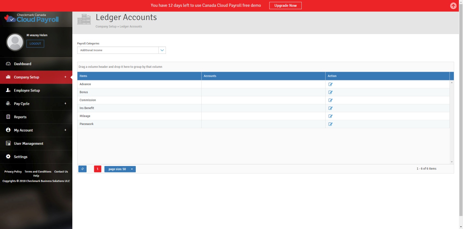ledger account