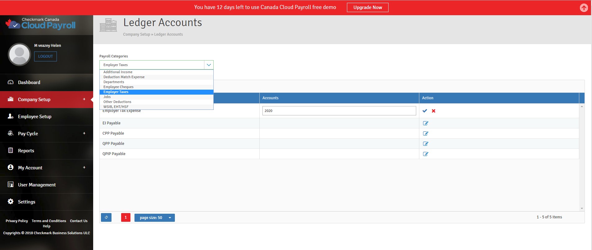 ledger accounts