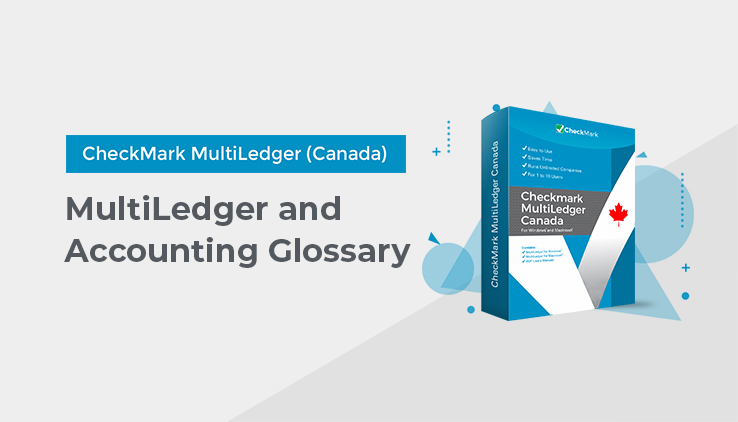 multiledger and accounting glossary
